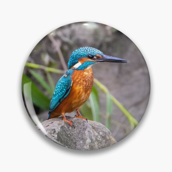 Item preview, Kingfisher is king of the castle designed and sold by George Kelsey.