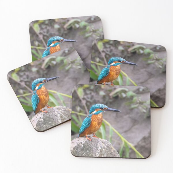 Item preview, Kingfisher is king of the castle designed and sold by George Kelsey.