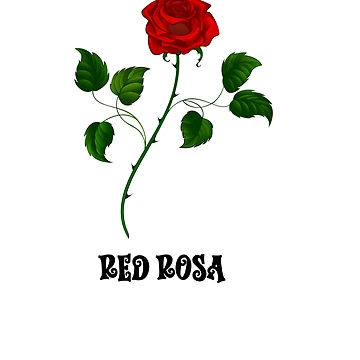 Artwork thumbnail,  RED ROSE by assia lachgar