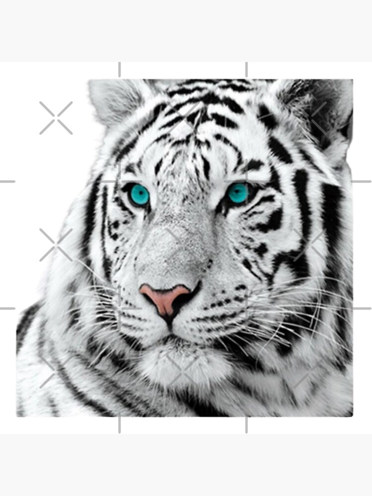 Blue Eyed Bengal Tiger Pullover Hoodie for Sale by techvr