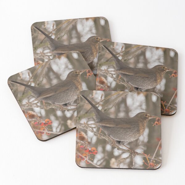 Item preview, Eurasian blackbird (Turdus merula) designed and sold by Piotr Front.