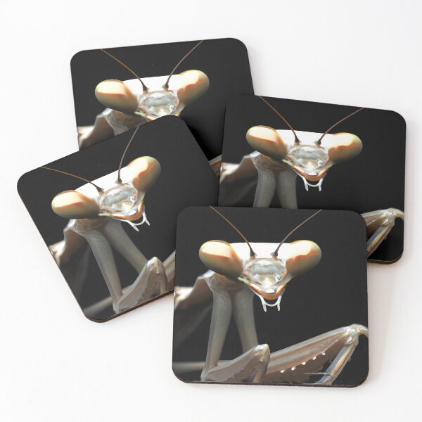 Item preview, Mantis Among the Crawly designed and sold by brandway.