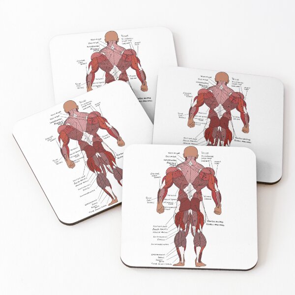 Item preview, Labelled Posterior Muscle Anatomy study aid  designed and sold by faolansforge.