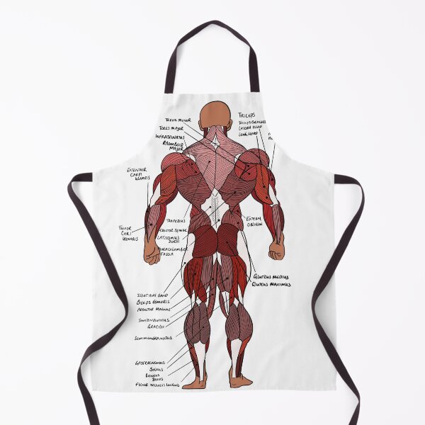 Item preview, Labelled Posterior Muscle Anatomy study aid  designed and sold by faolansforge.
