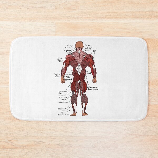 Item preview, Labelled Posterior Muscle Anatomy study aid  designed and sold by faolansforge.