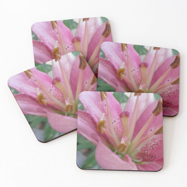 Item preview, Lilly designed and sold by Rebekah  McLeod.