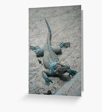 Lizard Greeting Card
