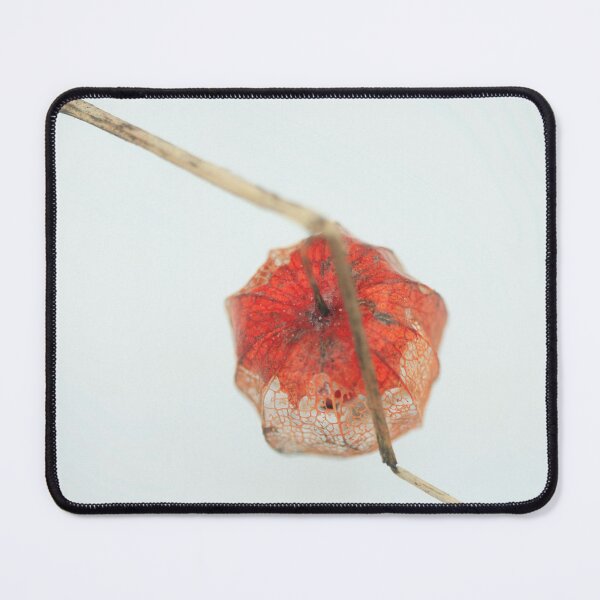 Item preview, Red physalis on white snow designed and sold by olena2552.