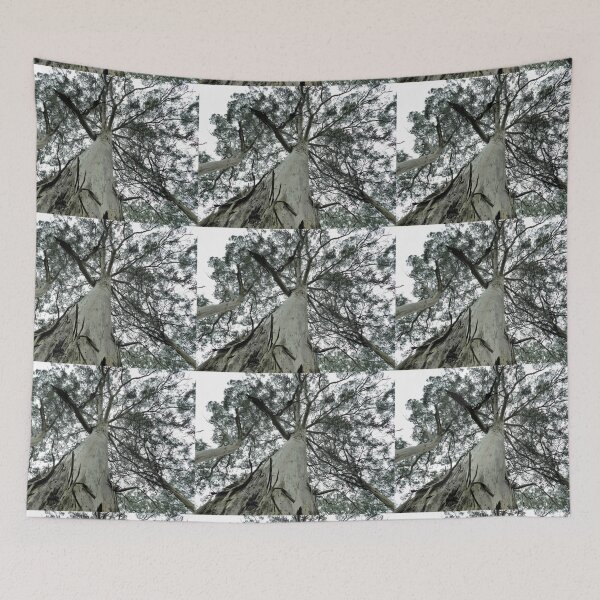 Item preview, *Tall Timber at Blackwood, Vic. Australia* designed and sold by EdsMum.