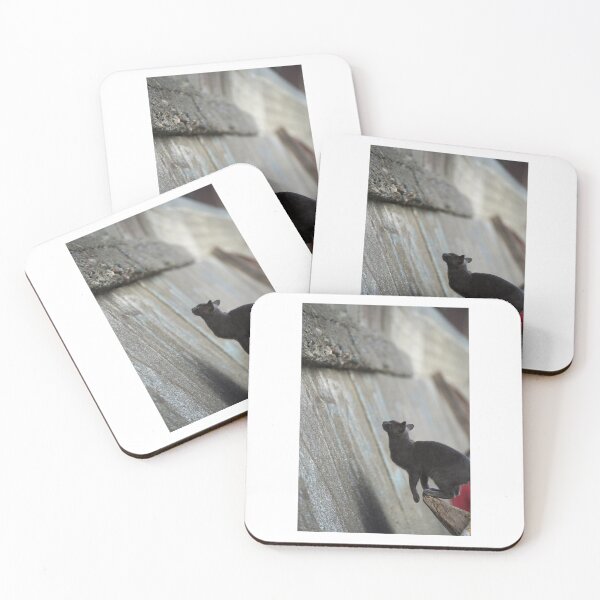 Item preview, jumping cat designed and sold by IsmoPhotography.