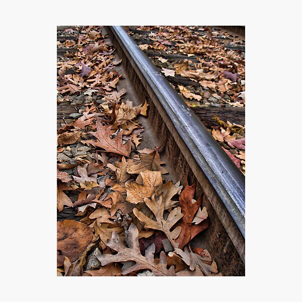 The Tracks of Fall Photographic Print