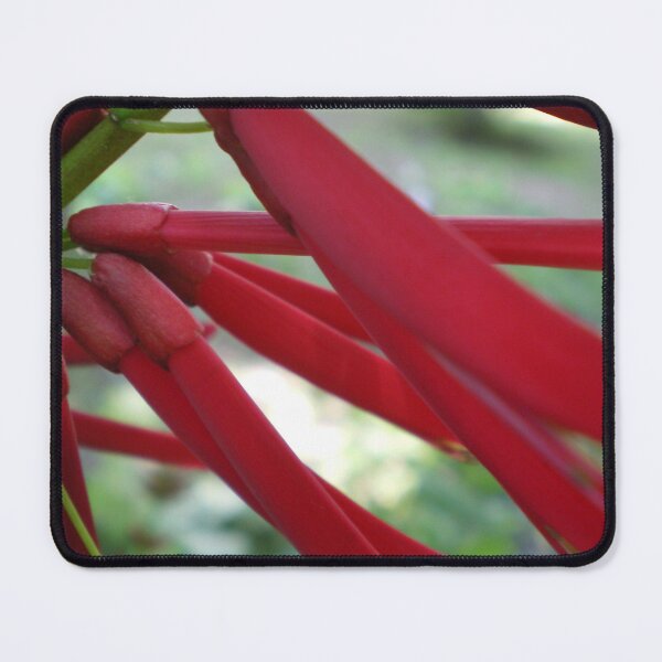 Item preview, Ribbons of Red designed and sold by Rebekah  McLeod.