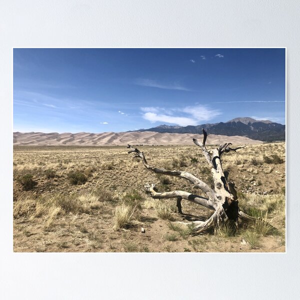 Artikel-Vorschau von Baumstumpf auf den Dünen, Colorado, designt und verkauft von dabldabl.