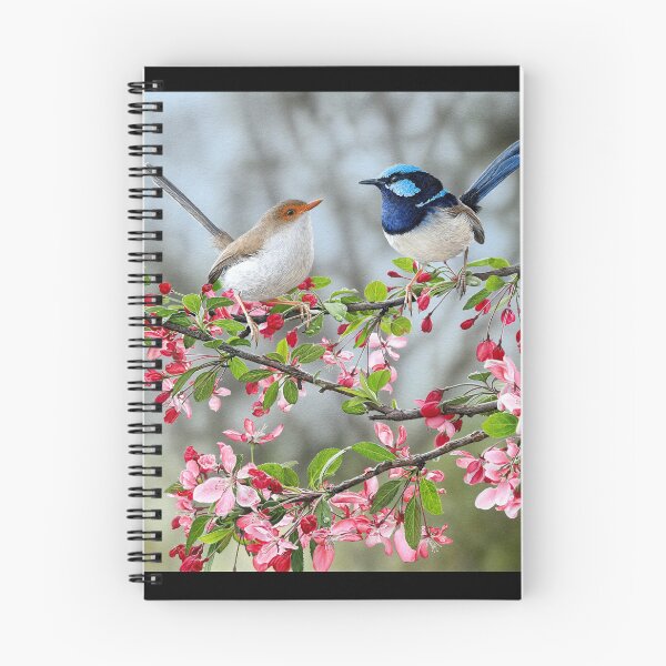 Item preview, "Courtship" (Superb Fairy-wrens) designed and sold by Frances McMahon Watercolour Bird Artist.