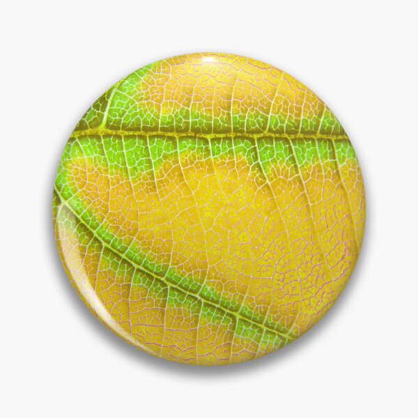 Item preview, Yellow Leaf Modern Contemporary Artistic Close-Up  designed and sold by DEC02.