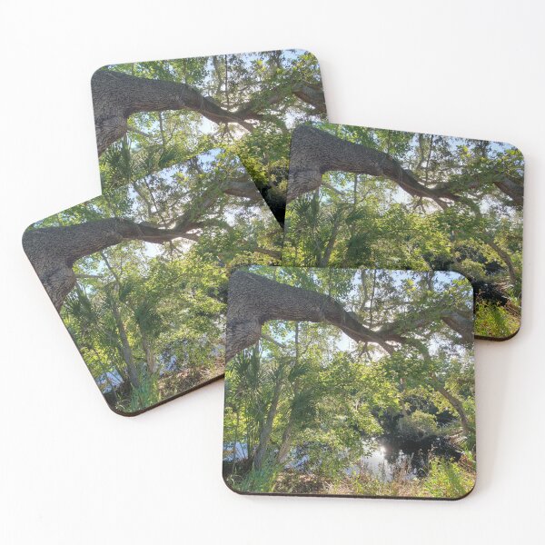 Item preview, Live Oak Love designed and sold by Amanda Huggins.