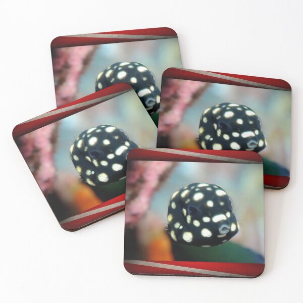 Item preview, baby smooth trunk fish designed and sold by publicidaddig.