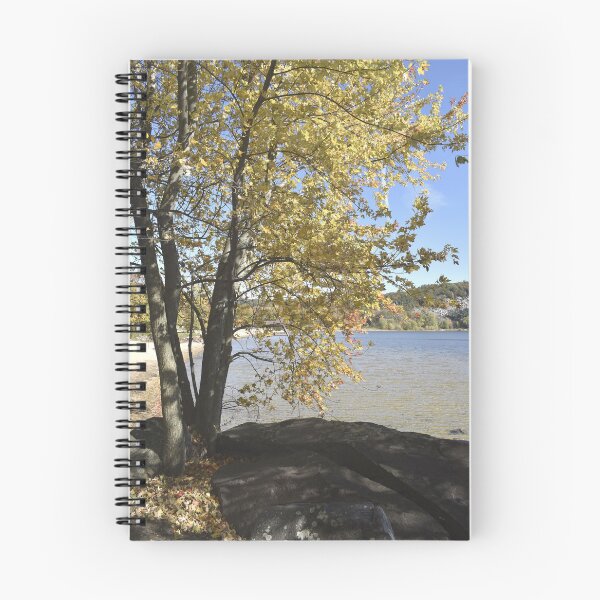 Item preview, Autumn Tree by the Lake designed and sold by Kathleen Brant.