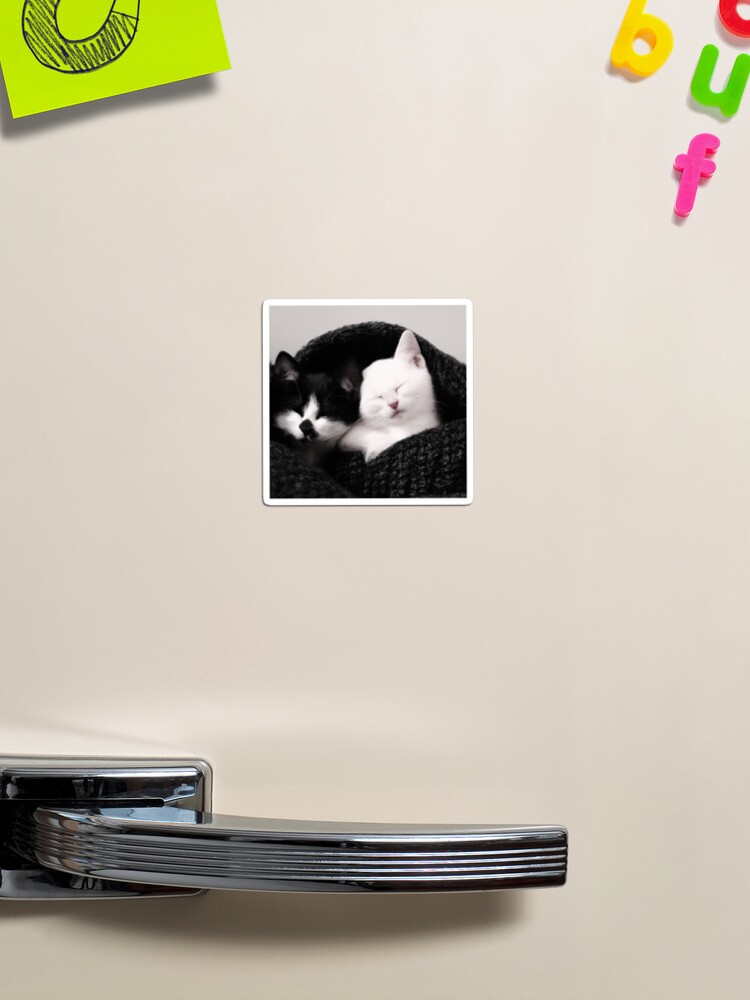 black and white kittens wrapped up in a blanket photo Magnet