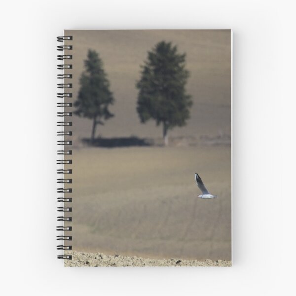 Item preview, Bird in the Land.....Hallo!!! designed and sold by AngRos80.