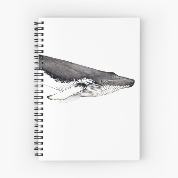 Item preview, Humpback whale (Megaptera novaeangliae)  designed and sold by chloeyzoard.