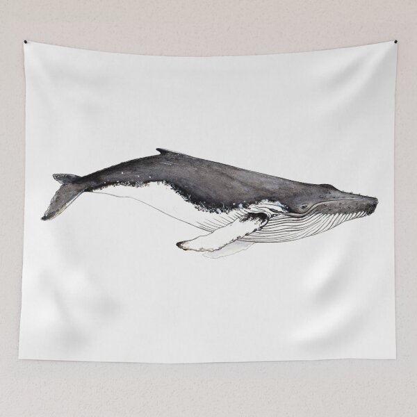Item preview, Humpback whale (Megaptera novaeangliae)  designed and sold by chloeyzoard.