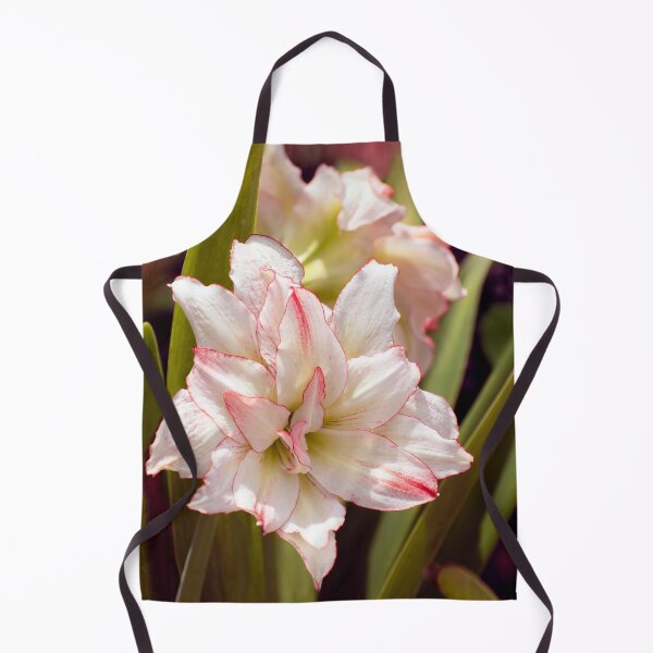 Item preview, Amaryllis Candy Cane or double Hippeastrum designed and sold by Zina Stromberg.