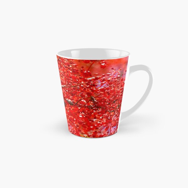 Rainbow Lorikeet feeding in an Illawarra Flame Tree Tall Mug