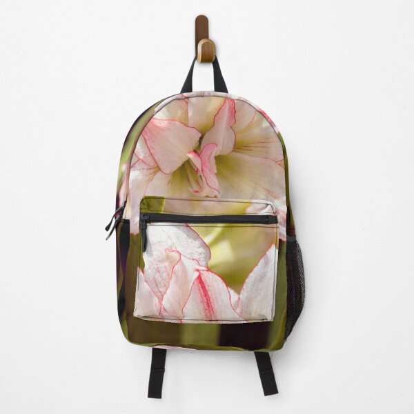 Item preview, Amaryllis Candy Cane or double Hippeastrum designed and sold by Zina Stromberg.