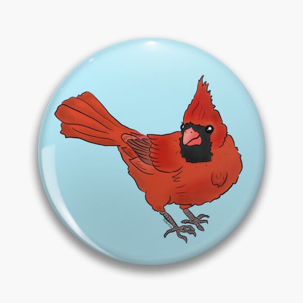 Cute cardinal bird Pin