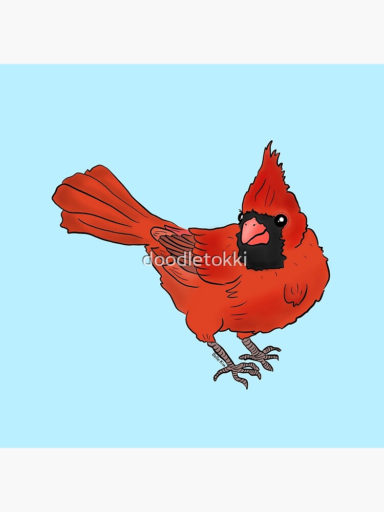Lámina rígida «Lindo pájaro cardenal» de doodletokki | Redbubble