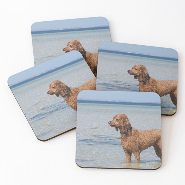 Item preview, Soggy Doggy designed and sold by Bryds94.