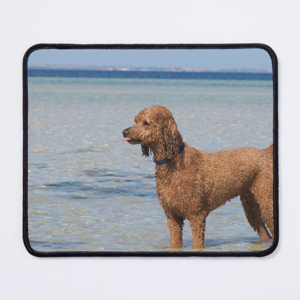 Item preview, Soggy Doggy designed and sold by Bryds94.