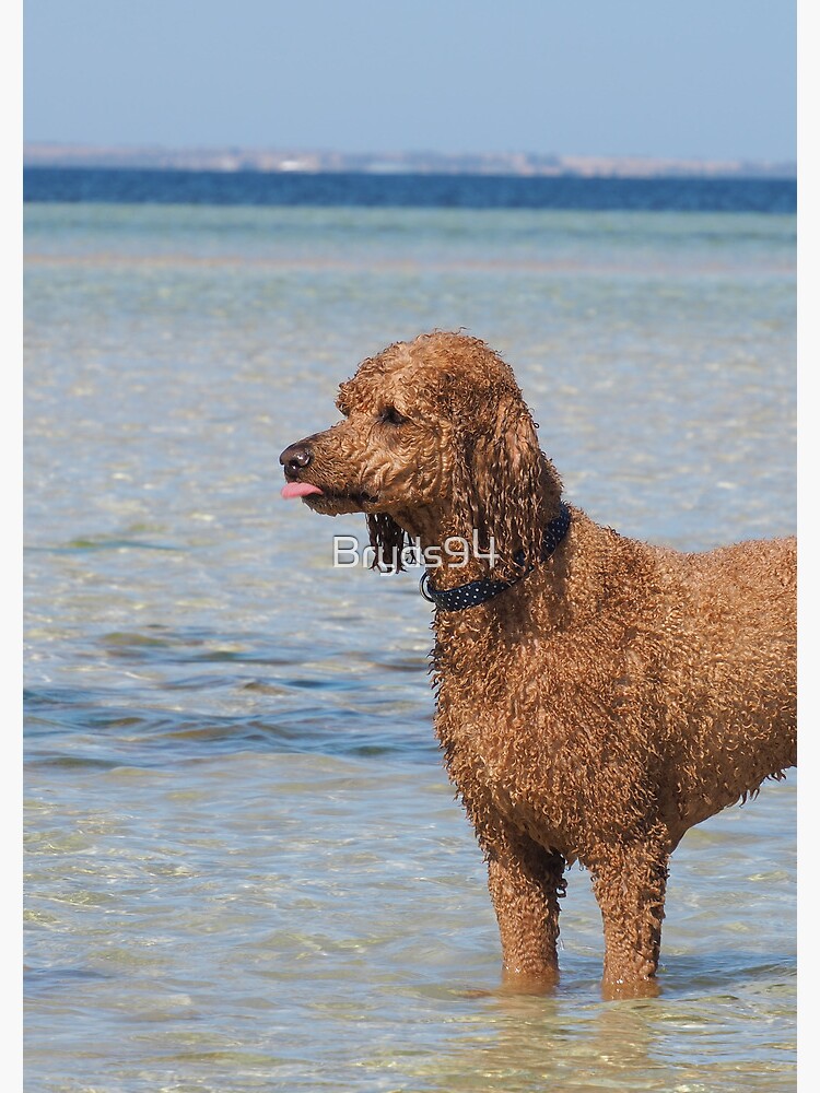 Soggy Doggy Spiral Notebook for Sale by Bryds94