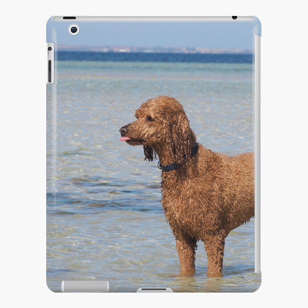 Soggy Doggy Sticker for Sale by Bryds94