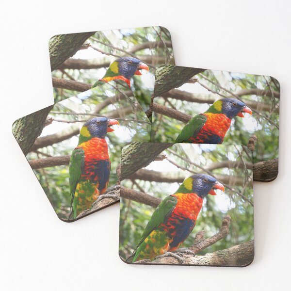 Item preview, Rainbow Lorikeet designed and sold by Bryds94.