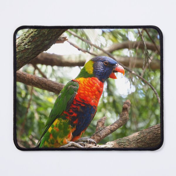 Item preview, Rainbow Lorikeet designed and sold by Bryds94.