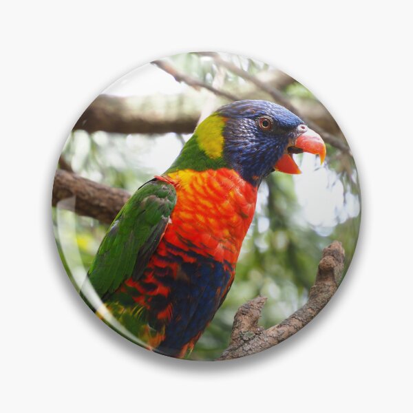 Item preview, Rainbow Lorikeet designed and sold by Bryds94.