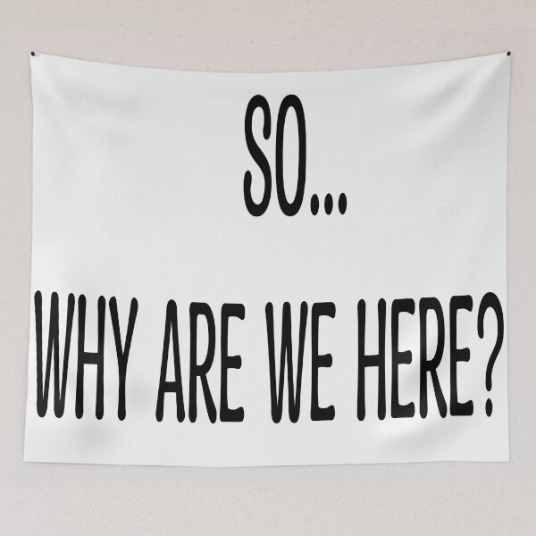 Item preview, "So...why are we here?" Quote designed and sold by NobodyMadeThis.