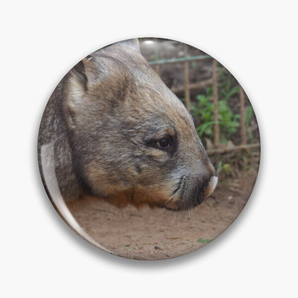 Item preview, nosy wombat designed and sold by Bryds94.