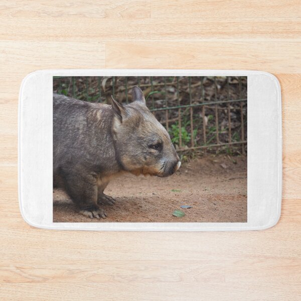 Item preview, nosy wombat designed and sold by Bryds94.