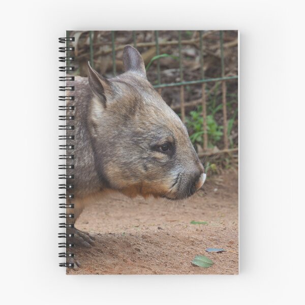 Item preview, nosy wombat designed and sold by Bryds94.
