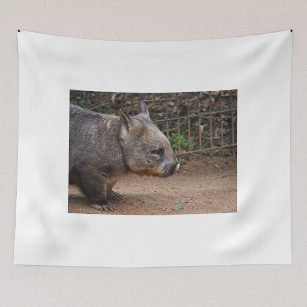 Item preview, nosy wombat designed and sold by Bryds94.