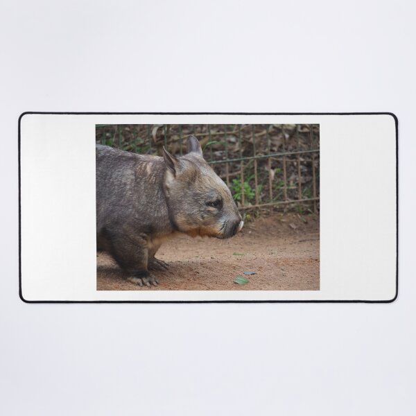 Item preview, nosy wombat designed and sold by Bryds94.