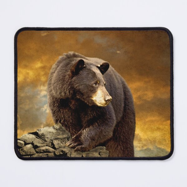 Item preview, The Bear Went Over The Mountain designed and sold by Lois Bryan.
