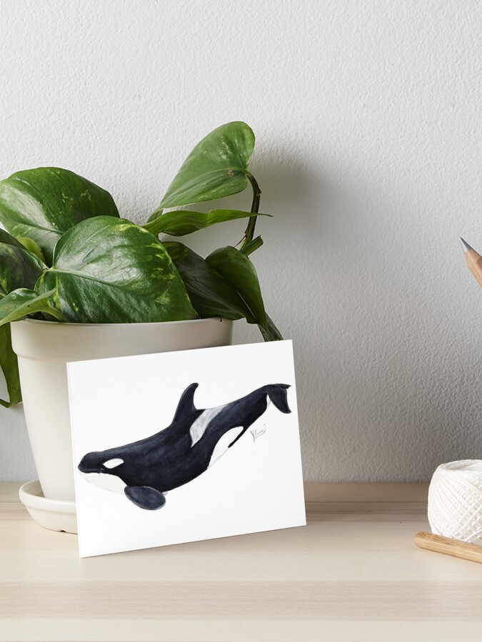 Orca killer whale Water Bottle by Chloe Yzoard