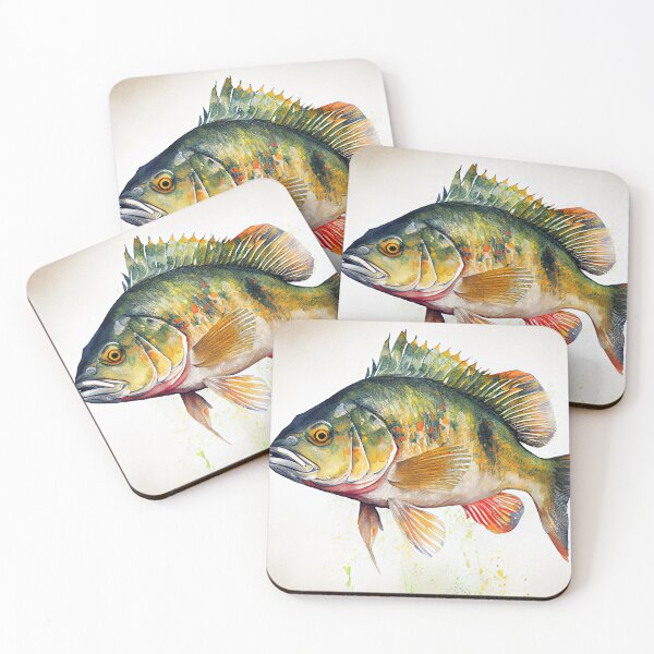 Item preview, Australian Macquarie Perch-Watercolor paint designed and sold by ABArtByAlexST.