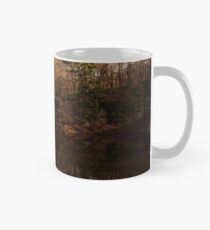 Still waters run deep Mug