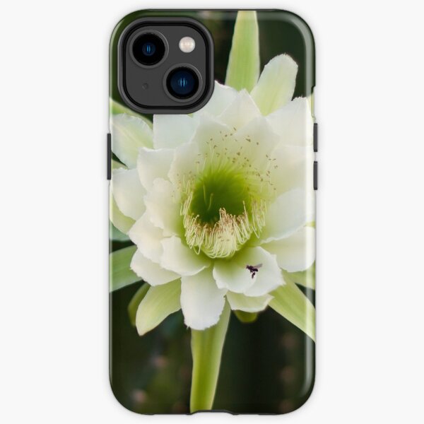 Princess of the Night - Blooming with Bee iPhone Tough Case