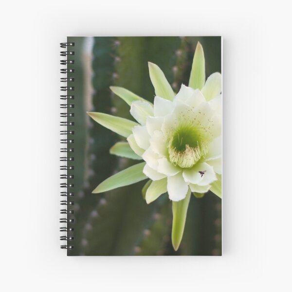 Princess of the Night - Blooming with Bee Spiral Notebook